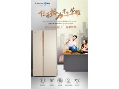 晶弘冰箱630升对开门BCD-630WPDG1图3
