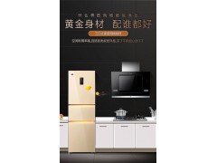 格力晶弘 230升风冷无霜三门冰箱 BCD-230WETCL图2
