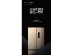 格力晶弘冰箱BCD-325WPQC（摩卡金）图1