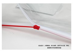 A4 18C晨光94504拉边袋图2
