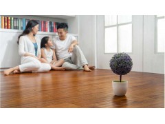 大自然地暖实木地板——木香居/番龙眼/摩卡私语图2