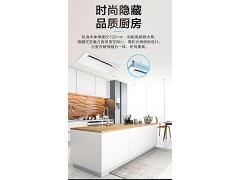 日立中央空调风管机家用厨房空调自清洁防油污油烟RCIS-32FSCNQD图2