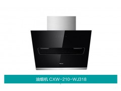 CXW-210-WJ318油烟机图2