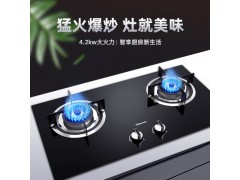 【JZT-WB301DS】4.2KW大火力/62%热效率/易清洁/燃气灶图2