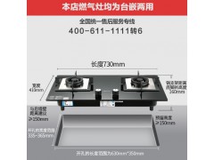 【JZT-CB300】钢化玻璃/美观大方/便于清洁/燃气灶图3