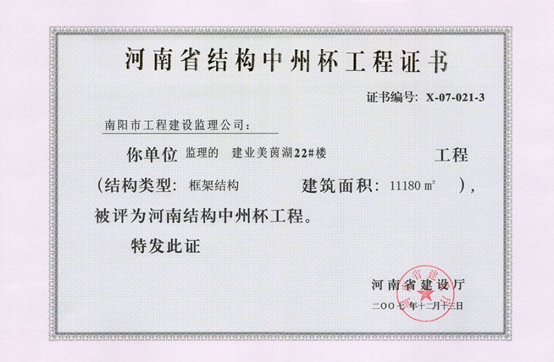 2007河南省结构中州杯（建业美茵湖）