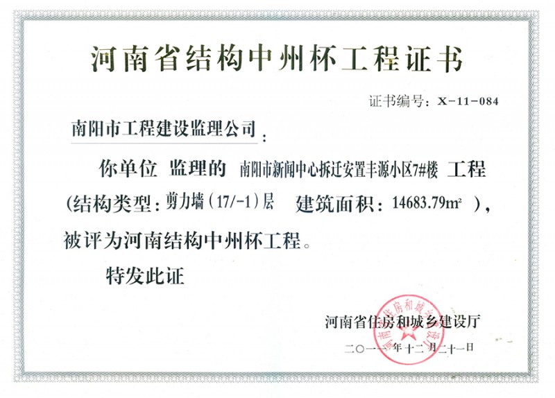 2011河南省结构中州杯（丰源小区7#）