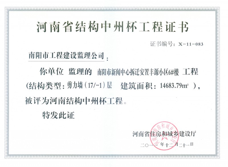 2011年河南省结构中州杯（丰源小区6#）