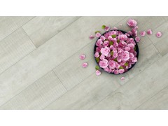 大自然强化地板-爱宅青春里图3