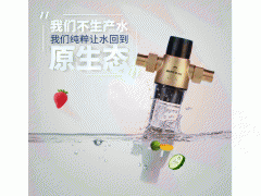 美国邦登手动前置过滤器家用型BD-100-5000B图2