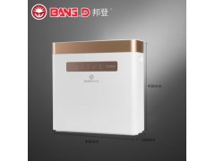 美国邦登反渗透纯水机直饮机家用型 净水器家用直饮机厨房自来水过滤器纯水机ro反渗透膜智能净化器图2