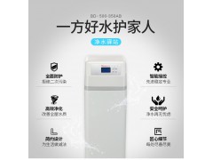 邦登美国邦登中央净水器 大型家用全屋净水器中央净水机 净水系统 去除余氯重金属保护管道 BD-500-350AB图3