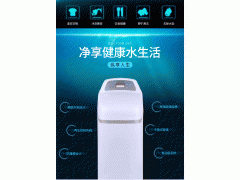 邦登美国邦登中央软水机 大型家用全屋过滤净化中央软水机 软水系统 去除水垢保护管道 BD-100R-350图3