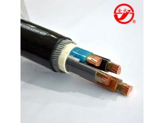 金水低压动力铠装铝芯电力电缆批发图3