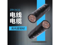 金水电缆 国标含量 ZRYJV22电线电缆 高纯度铜材图2