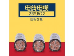 金水电缆 国标含量 ZRYJV22电线电缆 高纯度铜材图3