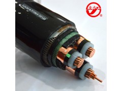 金水电缆 中高压电力电缆 ZR-YJV22 各种规格电力电缆图3