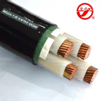 金水电缆低烟无卤交联电缆WDZ-YJE 0.6 1KV