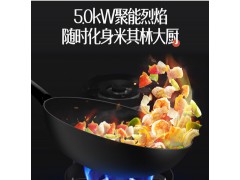 万和（Vanward）燃气灶具 5.0KW大火力 天然气灶家用台嵌两用不锈钢猛火灶 JZT-C5B96（天然气）图2