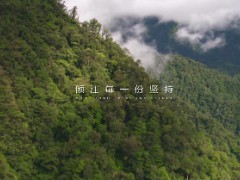 莫干山宣传片