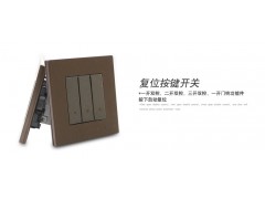 86型家用墙壁一开五孔插座功能件珠光褐金模块 五孔插座图2