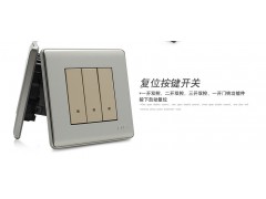 86型开关插座珠光砂金功能件墙壁五孔插座带开关功能件模块 白盖板图2