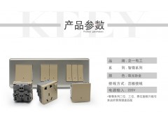 86型开关插座珠光砂金功能件墙壁五孔插座带开关功能件模块 白盖板图3