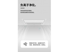 凉霸有过滤净化功能清凉厨房法狮龙品牌橙心橙意超级凉霸图2