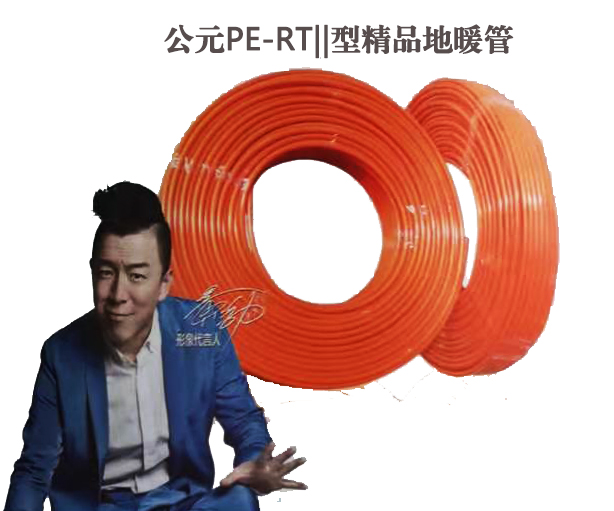 2-1PS0144505