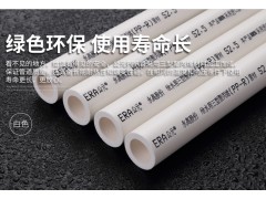公元管道进口原料 德国工艺热熔冷热水管 20*2.8(4分)图2