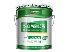 悦白防霉防潮墙面漆24kg图1