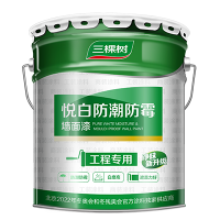 悦白防霉防潮墙面漆24kg