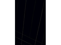 升华陶瓷 黑白根 SV-TGD6317图1