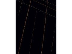 升华陶瓷 劳伦黑金 SV-TGD6303图2