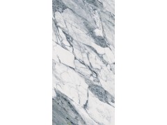 升华陶瓷 SV-NKF2153图3