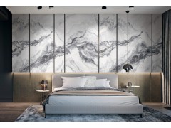 升华陶瓷 SV-NKF2109图3