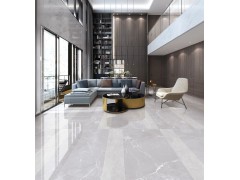 升华陶瓷 安卡拉浅灰SV-1L189008图2