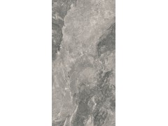 升华陶瓷 SV-1T157043图2