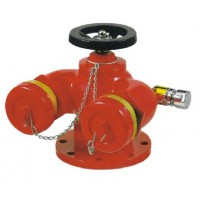多用式消防水泵接合器SQD150
