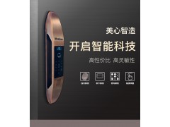 美心家美 铸家盛美 入户门 防盗门 甲级安全智能门D3804图3