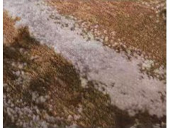 米墅软装 进口地毯024图2