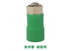 索邦活接直通DN25图2
