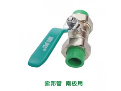 索邦双活结球阀DN20图2