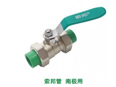索邦双活结球阀DN25图2