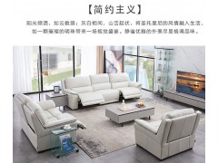 芝华仕贵族真皮沙发系列S-70078BM图3