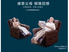 芝华仕贵族真皮沙发—Z-K127M图2