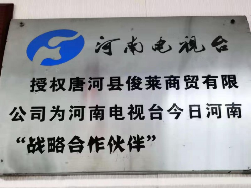 河南电视台今日河南“战略合作伙伴”