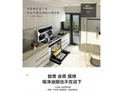 火星一号V02ZK集成灶图3
