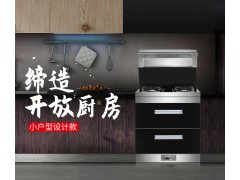 火星一号V05集成灶图2