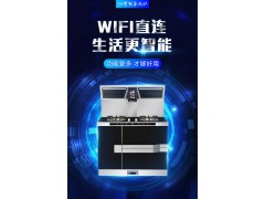 火星一号V08集成灶图3